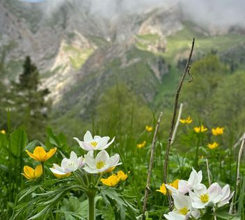 Южное Радушие: От Гор К Морю