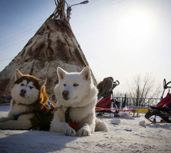 Тур Саамская деревня на Имандре