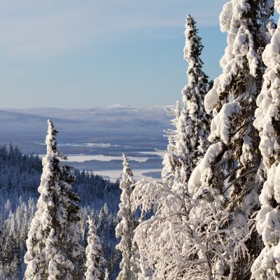 Зимняя сказка на Белом море — для активных путешественников