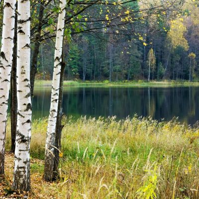 Светлояр. В поисках Китеж-града