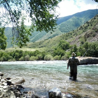 Форелевая рыбалка и отдых на природе: поездка из Бишкека