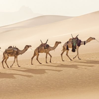 Магические пески и оазисы Сахары