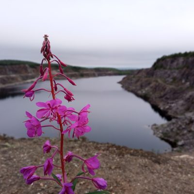 Вечерняя прогулка по горе Горелая