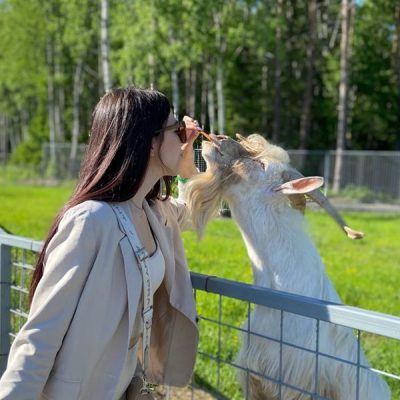 Карельский зоопарк и прогулка с видом на залив Кирьявалахти