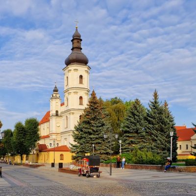 Полесье — край под белыми крыльями