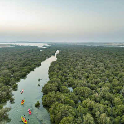В мангровые леса Катара на каяках