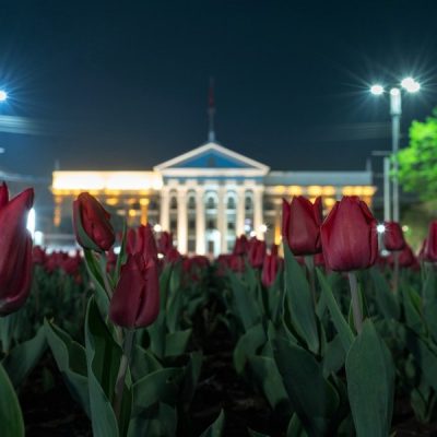 Ночной Бишкек, или чем живет мегаполис!