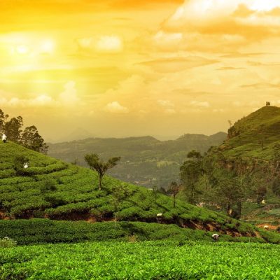 Канди и высокогорье Цейлона: путешествие на 2 дня