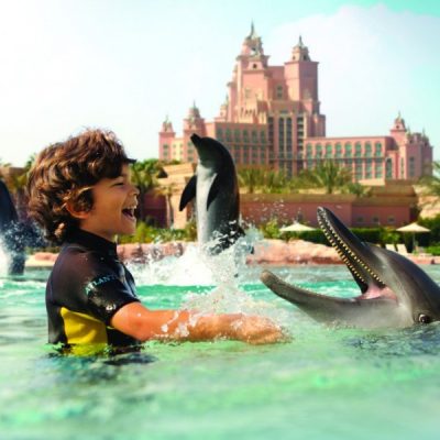 Плавание с дельфинами в Дубае