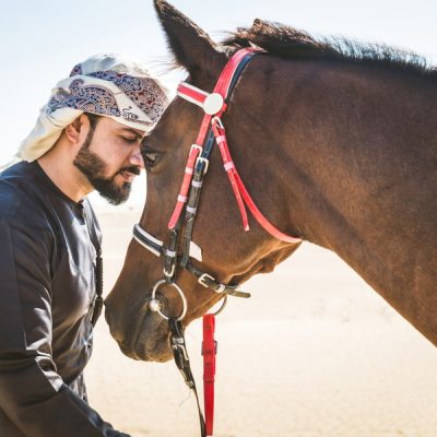 Конная прогулка по пустыне в Дубае