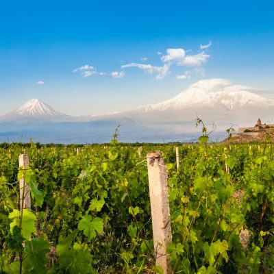 Путешествие по винным погребам Армении