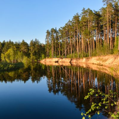 В гости к природе: из Рязани — в Окский заповедник