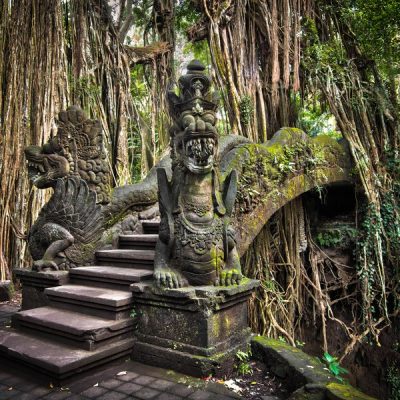 Убуд — город ремесел и заповедной природы Бали