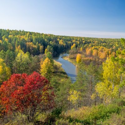 Загадки природы «Оленьих ручьев»