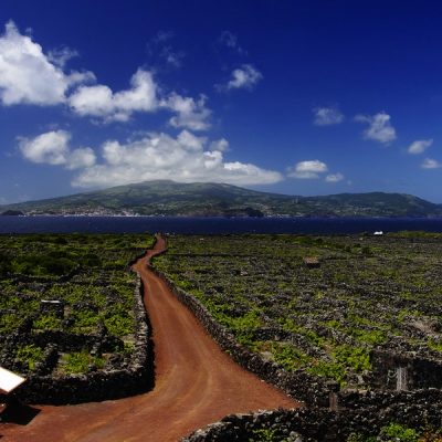 Азорский остров Пику — почувствовать вулканическую мощь Земли
