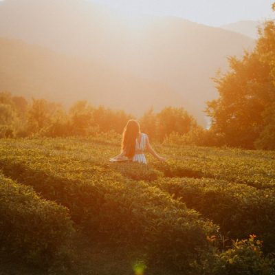 Чайные плантации Солох-Аула и долина Шахе + фотосессия