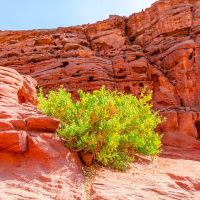 Цветной каньон и заповедник Абу Галум за 1 день!