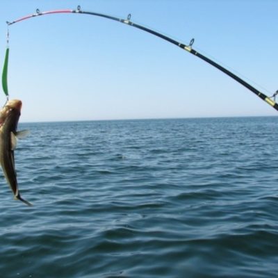 Морская и речная рыбалка в Сочи