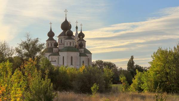 Максим Литвинов