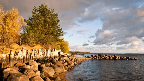 Константин Федин