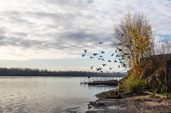 Борис Полевой