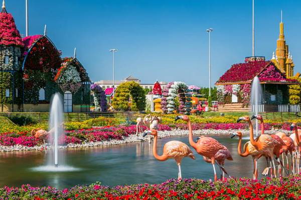 Билеты в парк цветов Miracle Garden и ярмарку Global Village с трансфером