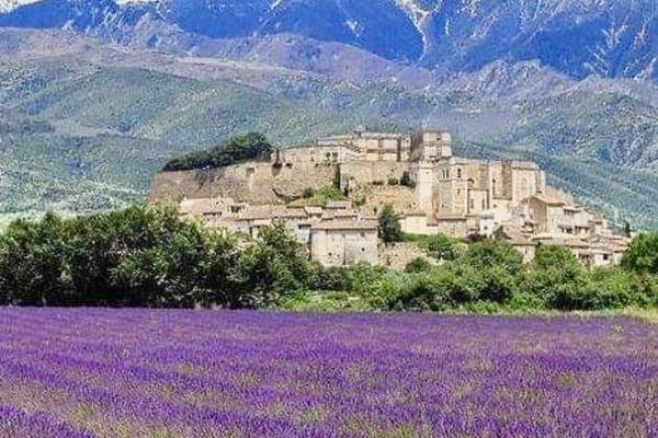 Самая романтическая экскурсия по лавандовым полям Прованса