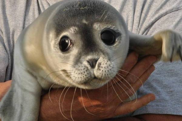 Тексел. День без времени