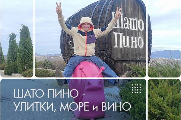 Шато Пино — улитки, море и вино