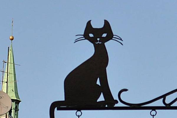 Охотники за мифическими животными