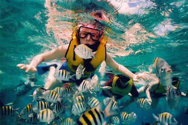 Снорклинг и дайвинг из Кемера