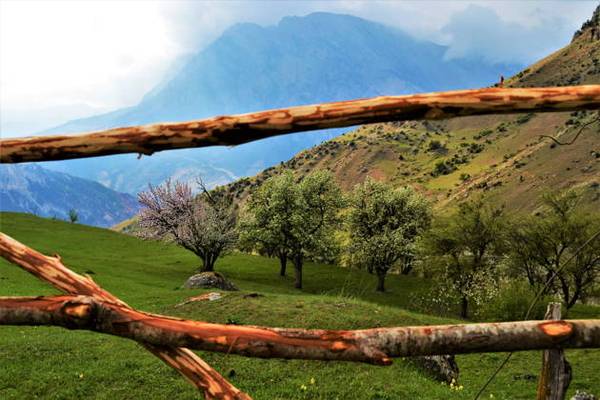 Экскурсия в заоблачный мир «Колыбель осетинского народа»