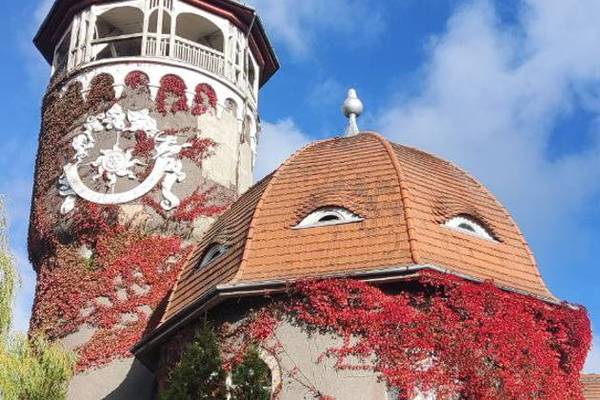 Светлогорск (Раушен): один день на курорте начала XX века