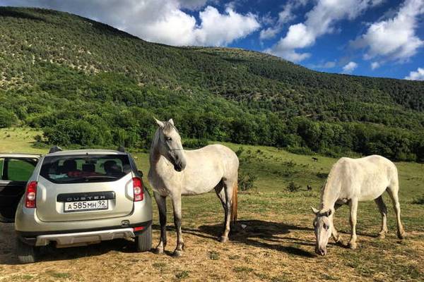 По диким местам Крыма из Феодосии: едем, куда захотим