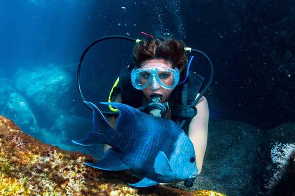 Дайвинг в голубых водах Аланьи