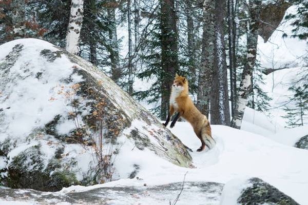 «Сибирская Швейцария» — тур в город Дивный, на ГЭС и «Столбы»