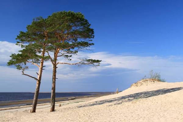 Путешествие к Белому морю: Северодвинск — остров Ягры