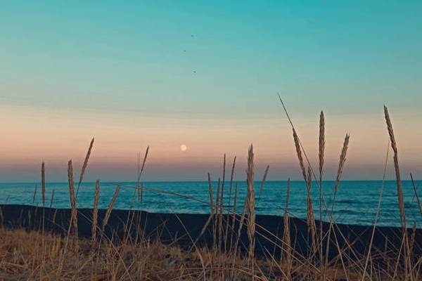 «На краю земли» — Халактырский пляж 