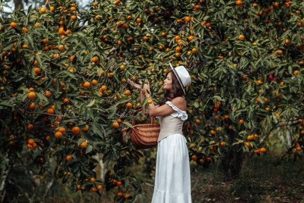 Гранд-тур Абхазия: Гагра, Рица, Новый Афон и Мандариновый сад