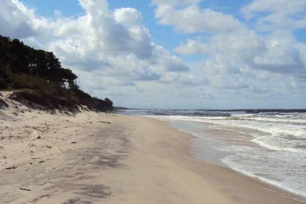 «Удивительная Куршская коса» — авторский тур из Зеленоградска