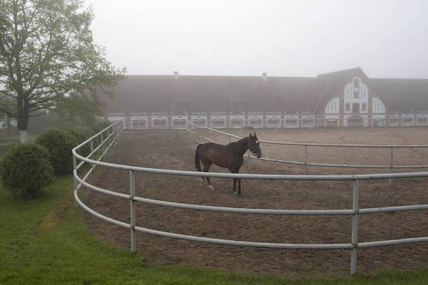Конная прогулка в замке Георгенбург