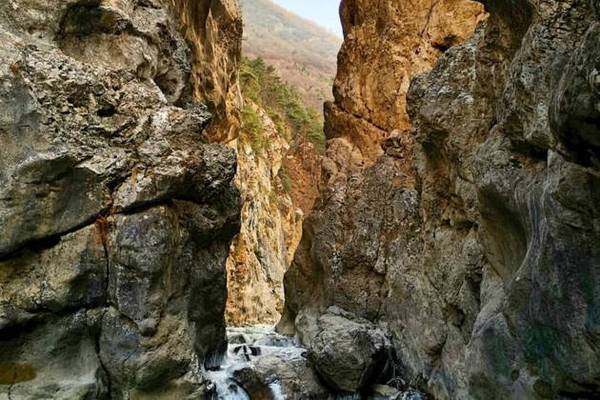 Историческая Дигория