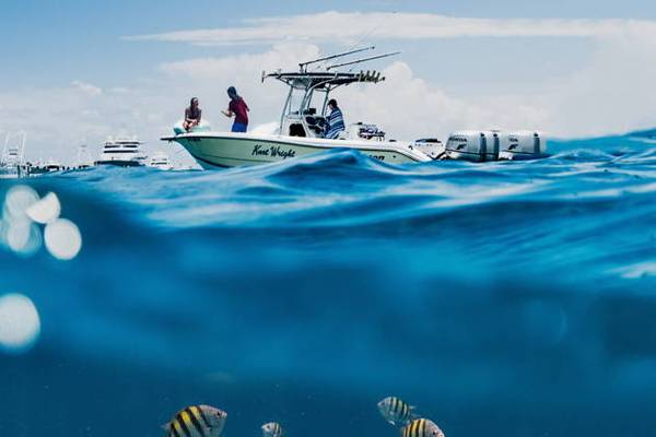 Морская Рыбалка в  Сиде