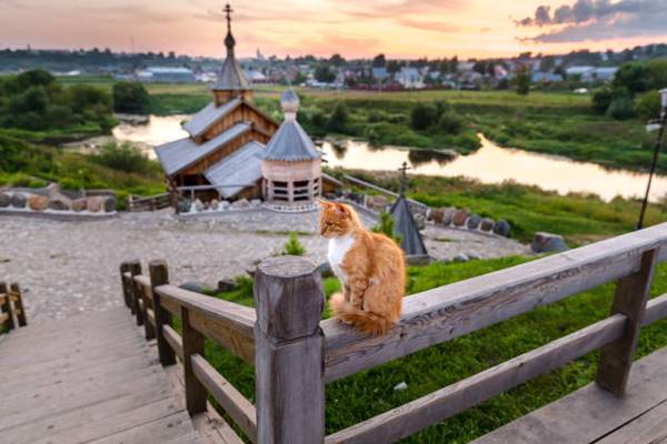 Боровск — русская провинция. Обзорная экскурсия по городу