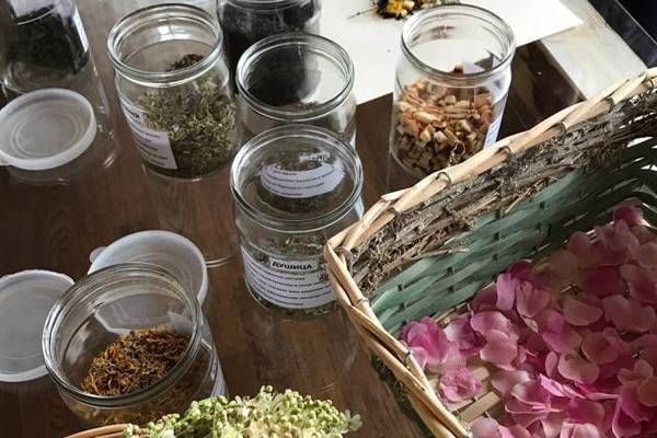 Экскурсия по ферме с мастер-классом по чайному сбору