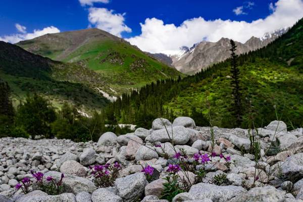 Ала-Арча, Чункурчак, Иссык-Ата (термальные воды)
