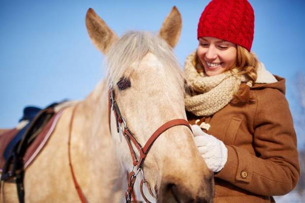 Конная прогулка в окрестностях Кисловодска по Березовскому ущелью