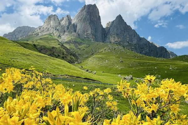 Путешествие по горной Ингушетии из Грозного