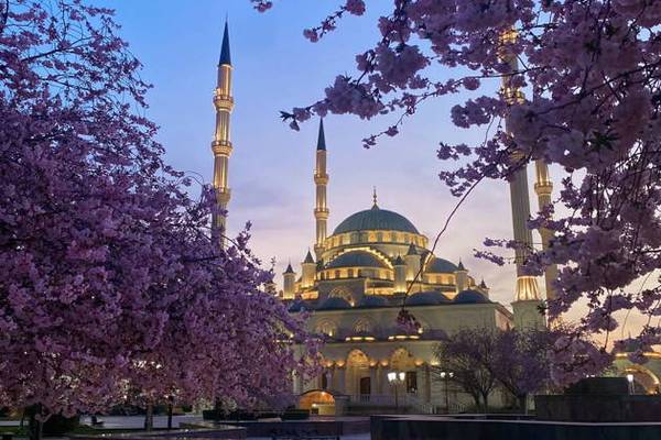 Влюбиться в столицу Чечни за один день: экскурсия по Грозному на авто 