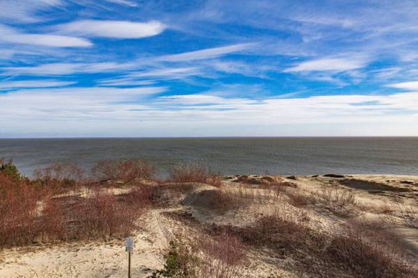 Экскурсия «Куршская коса»: Танцующий лес, Высота Эфа (дюна)
